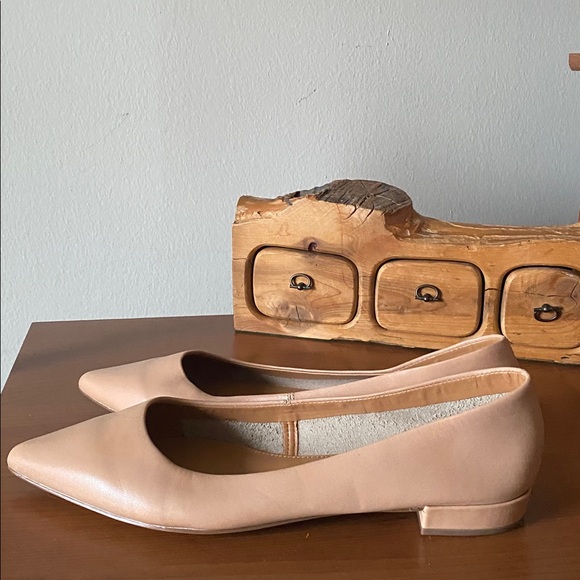 J. Crew Factory Shoes - Marina Leather Pointy-Toe Flats